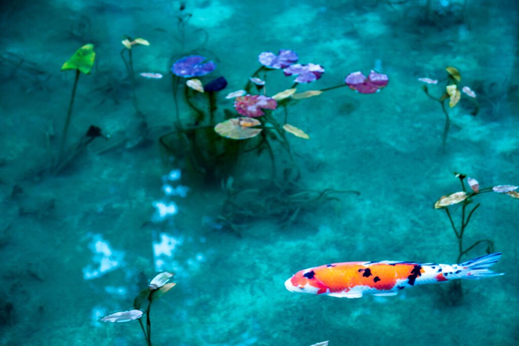 🌳 야마나시현 삼림공원 카네가와노모리 이미지 5